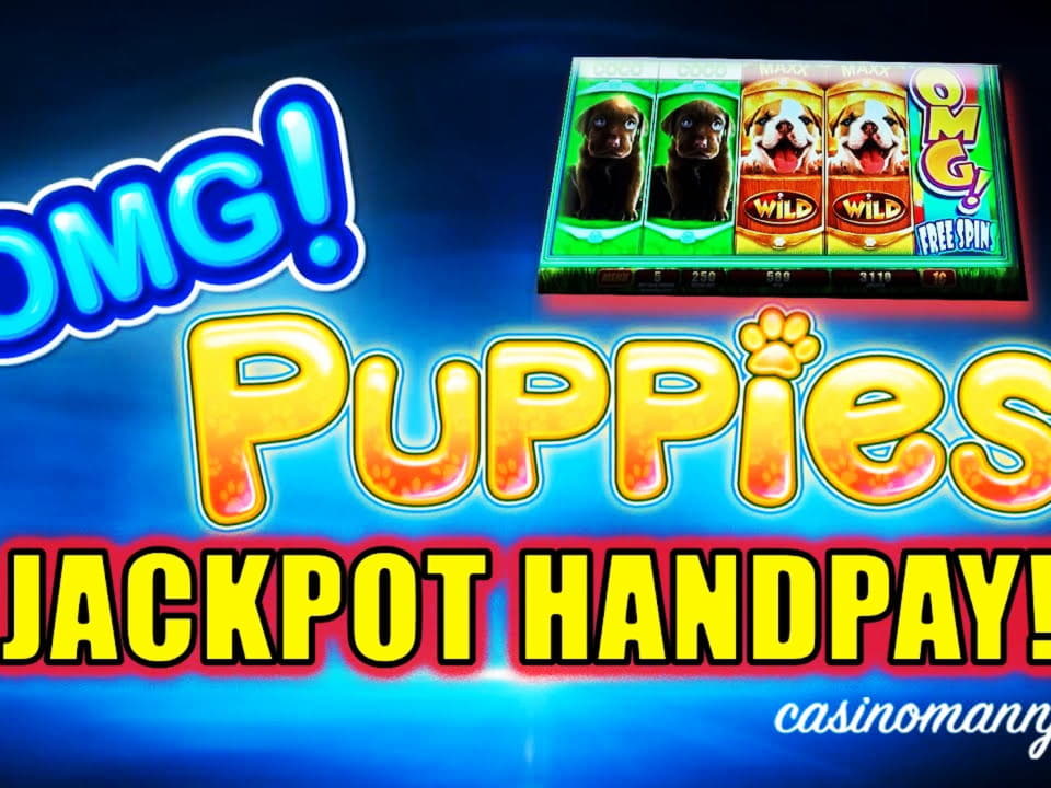 120 Loyal Free Spins! at Royal Panda Casino