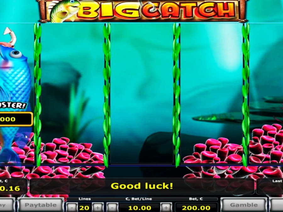 Eur 345 free chip at Fruity Casa Casino