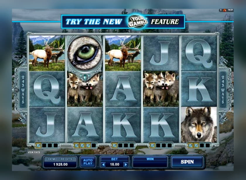EURO 3645 No deposit bonus code at Tony Bet Casino