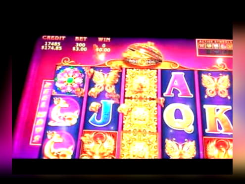 €945 Tournament at Mr. Win Casino