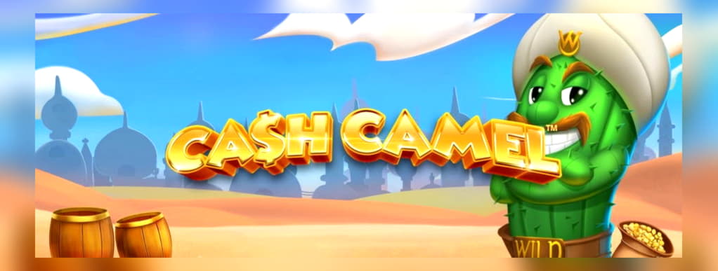 445% Best signup bonus casino at Tony Bet Casino