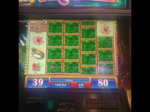155% First deposit bonus at All Slots Casino