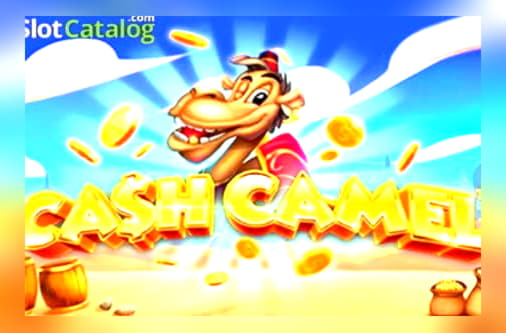 EURO 4375 no deposit at Spinland Casino