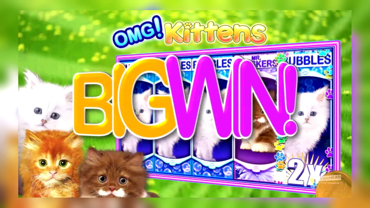 530% Welcome Bonus at Wink Slots Casino