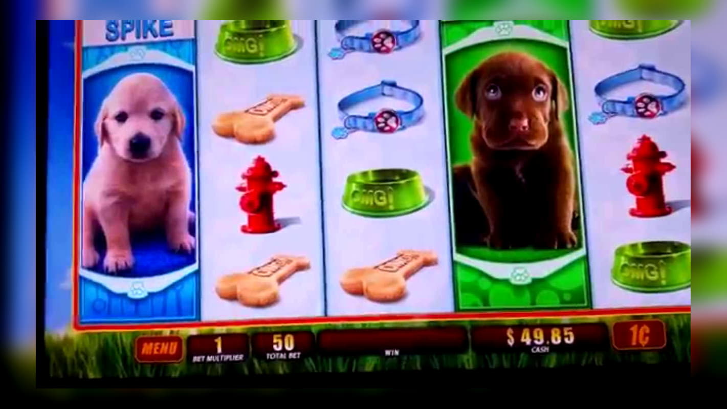 95 FREE Spins at Ikibu Casino