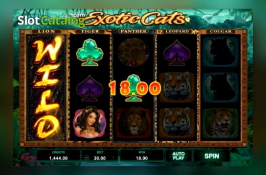 $275 Casino tournaments freeroll at Bet At Home Casino