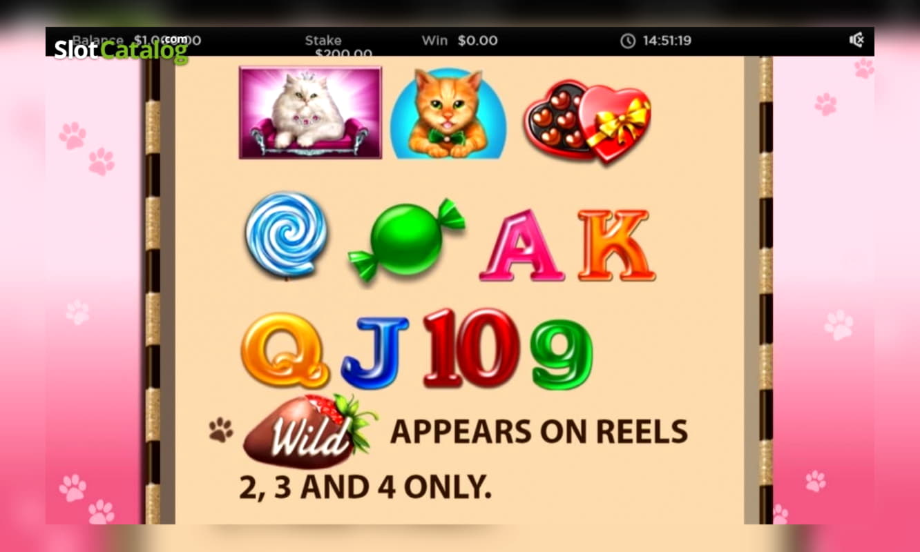 Eur 645 Online Casino Tournament at Spin Palace Casino