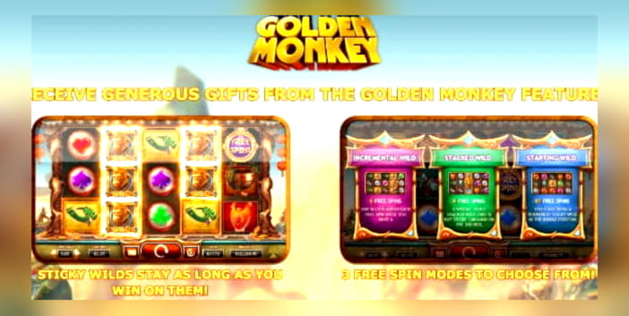 Eur 695 Casino tournaments freeroll at BGO Casino