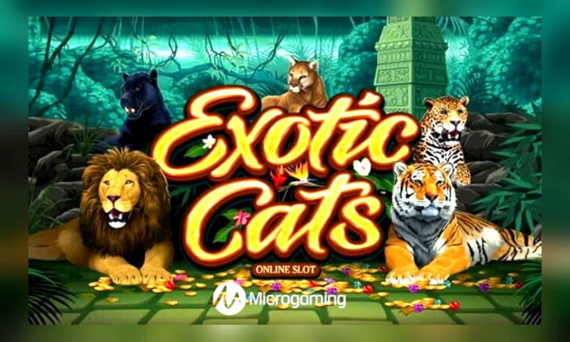 $2785 NO DEPOSIT BONUS at Super Lines Casino