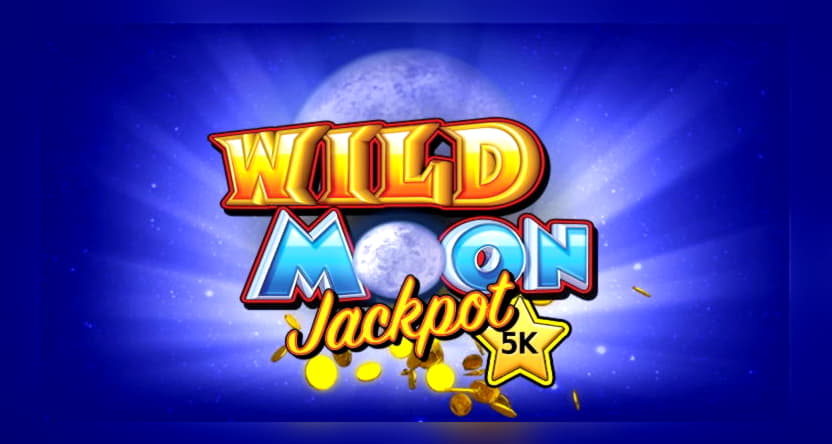 €535 Tournament at Spinland Casino