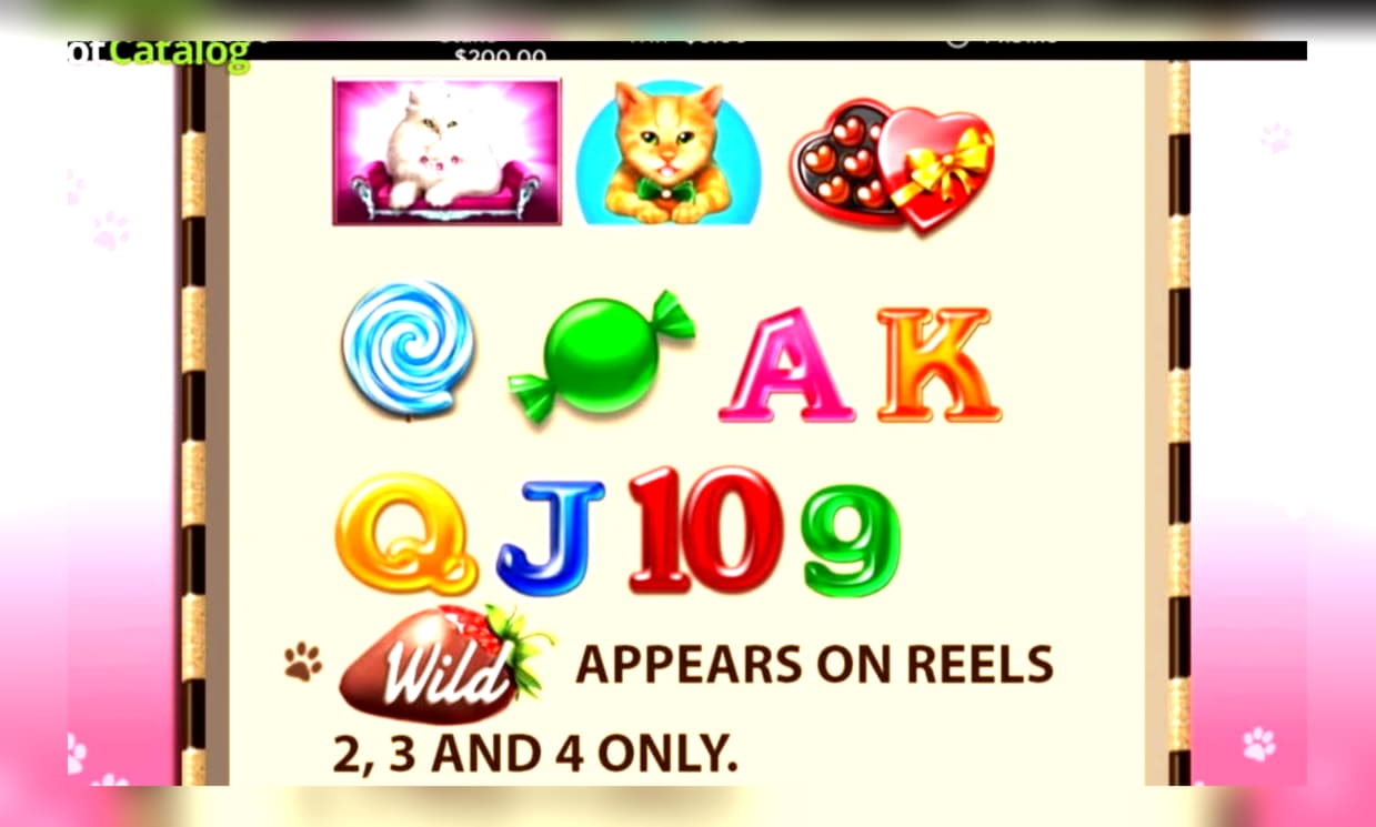 $33 Free Casino Tournament at Fruity Casa Casino