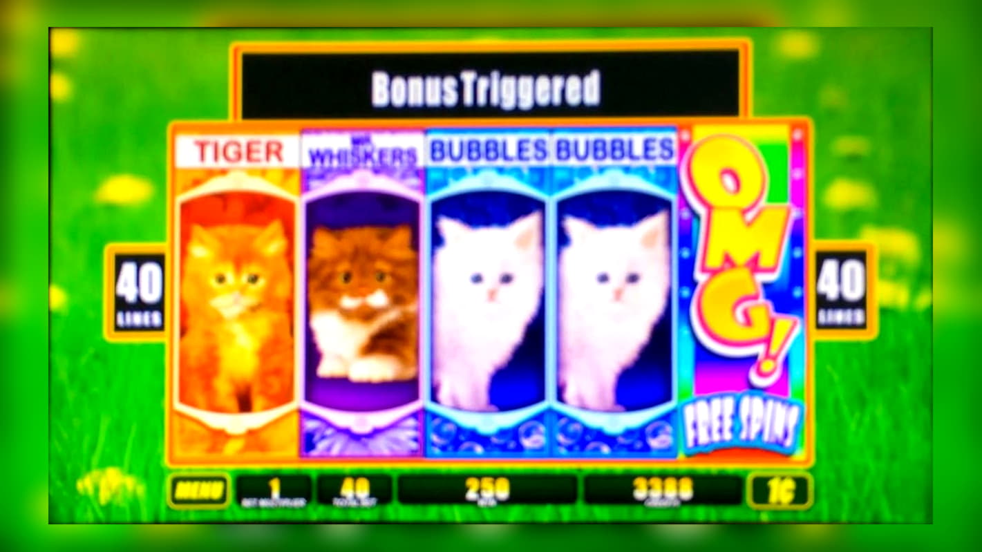 560% Deposit match bonus at Leo Dubai Casino