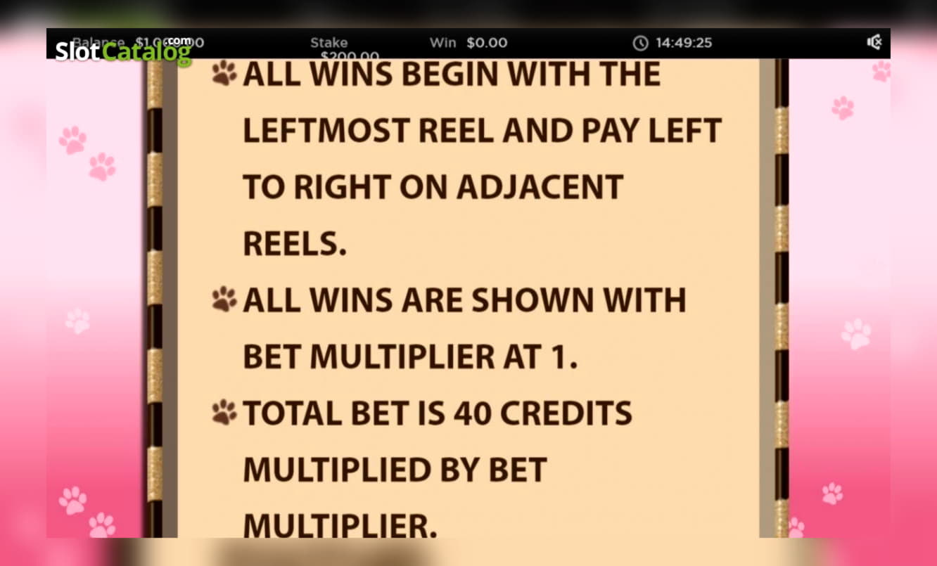 Eur 1950 no deposit bonus code at Mr. Win Casino