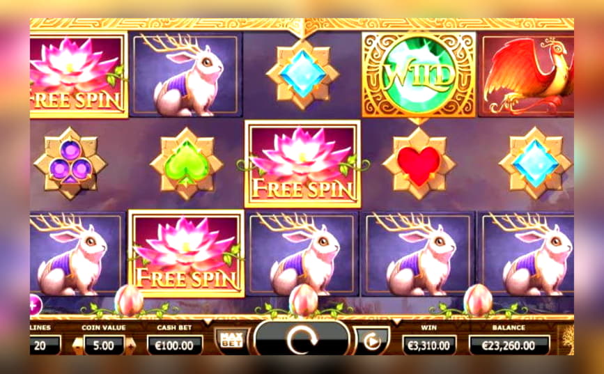 ﻿$2450 No Deposit at Super Lines Casino