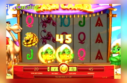 $3215 No Deposit Bonus Code at Royal Panda Casino