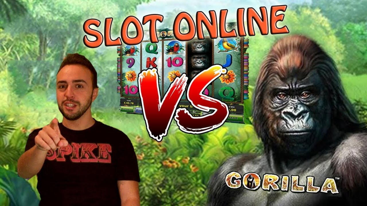 €910 Casino tournaments freeroll at Mr. Win Casino