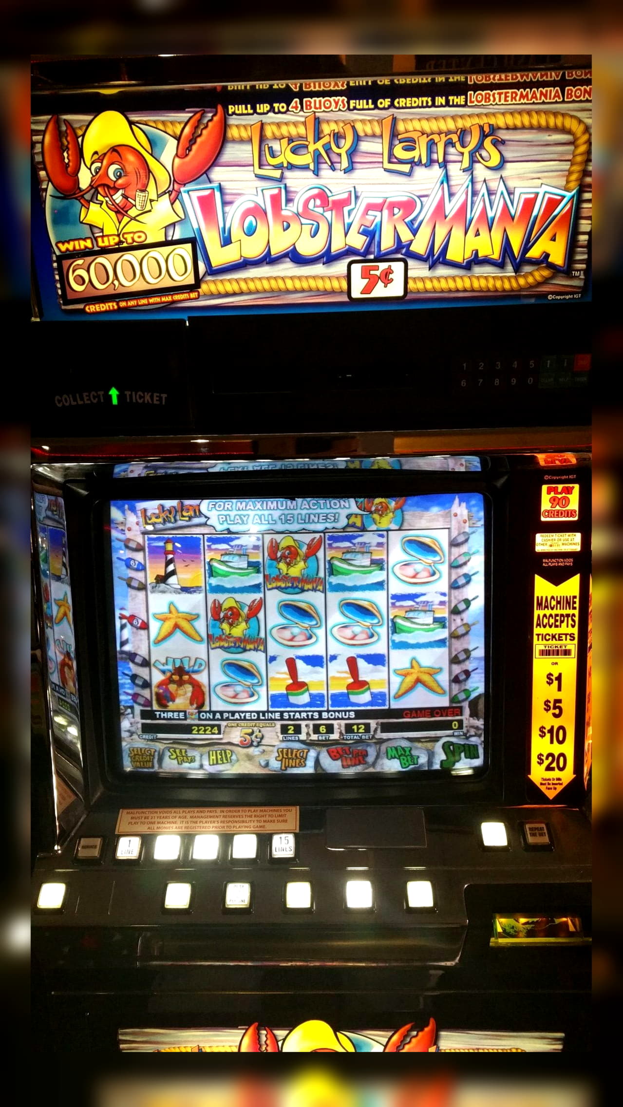 305% No Rules Bonus! at Joy Casino