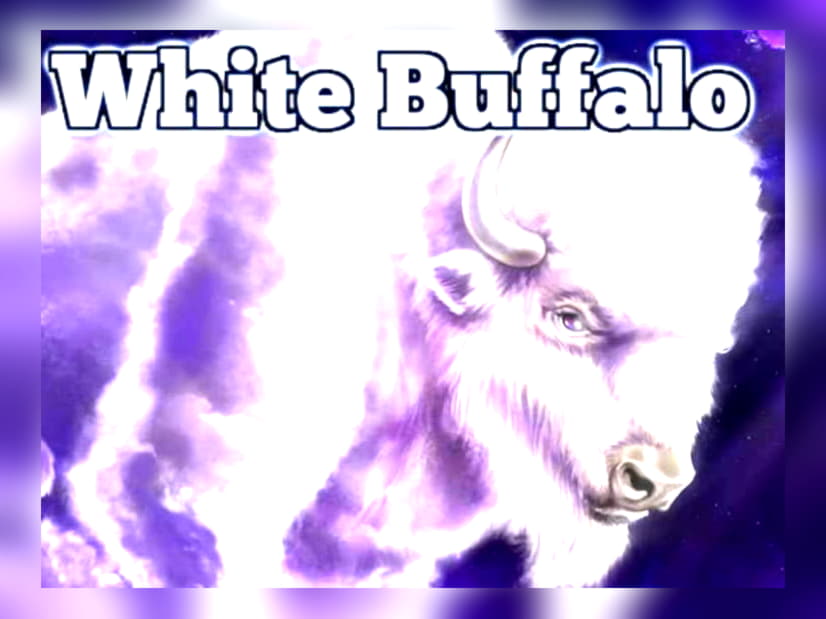 80 free spins no deposit at Royal Panda Casino