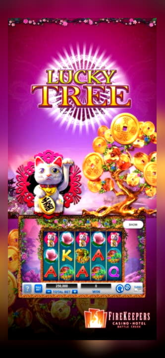 $3055 NO DEPOSIT BONUS at Joy Casino