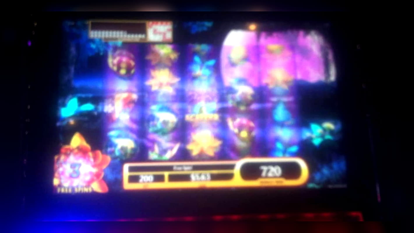 ﻿$460 Tournament at Spinland Casino