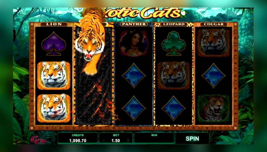 €690 free chip at Joy Casino