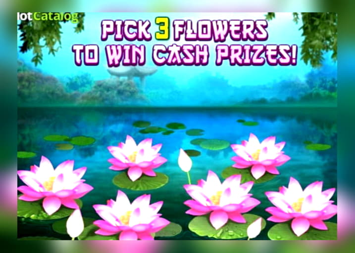 EURO 145 Free chip casino at Net Bet Casino