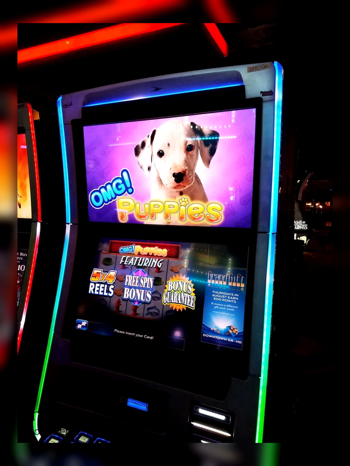 25 Free spins no deposit at Net Bet Casino