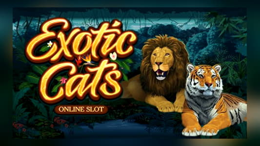 EURO 270 Free Casino Ticket at All Slots Casino