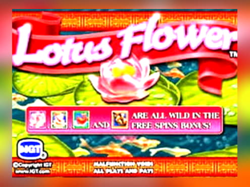 965% Welcome Bonus at Rizk Casino