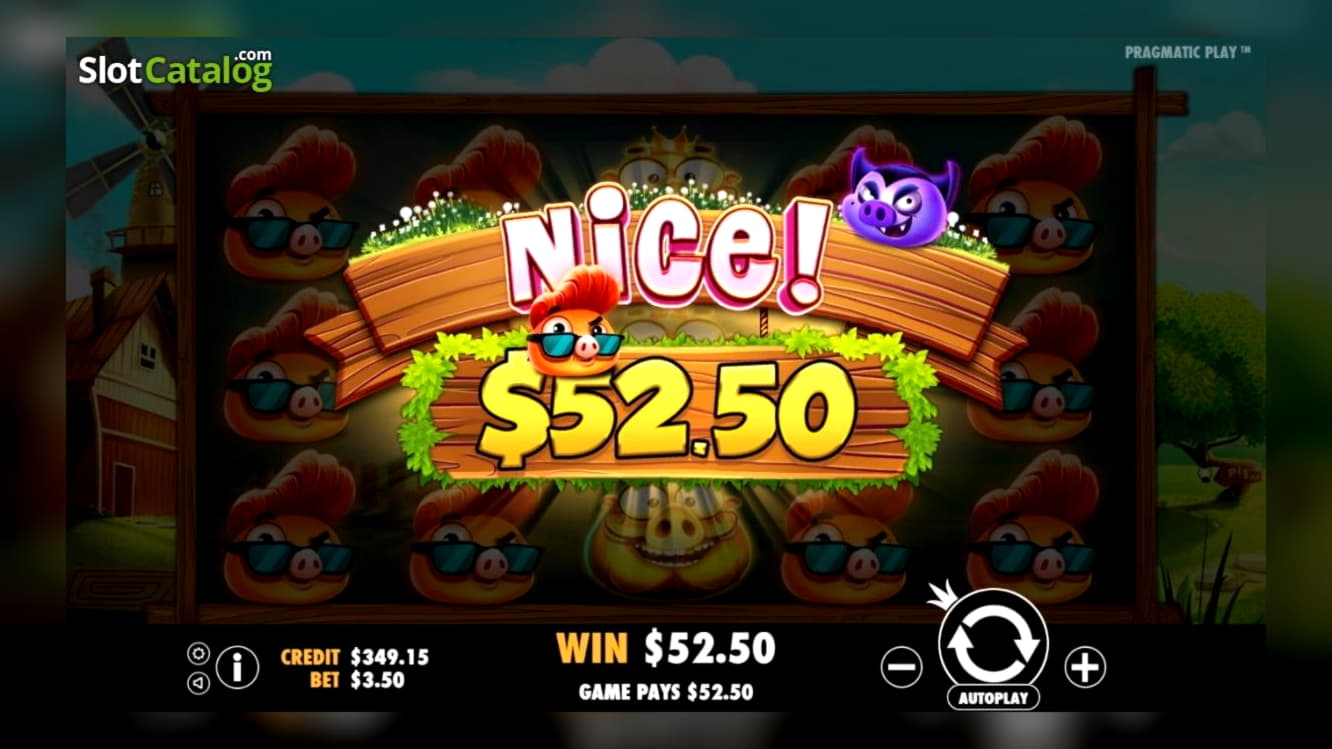 450% Match Bonus at Ikibu Casino