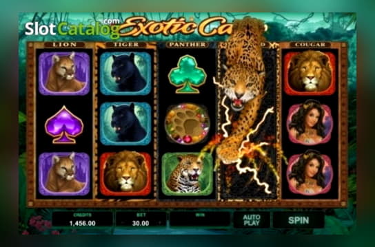 45 Free Casino Spins at Casino Heroes