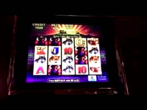 €775 No Deposit Casino Bonus at Fruity Casa Casino