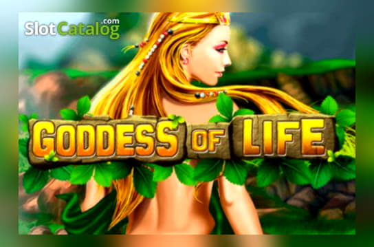 €1625 no deposit bonus casino at Net Bet Casino