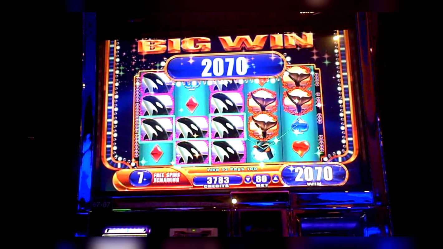 705% No Rules Bonus! at bWin Casino