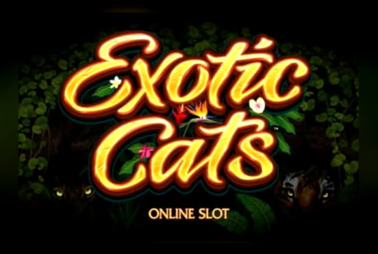215 free casino spins at Spin Palace Casino