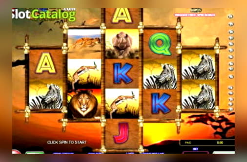 Eur 305 Online Casino Tournament at Spinland Casino