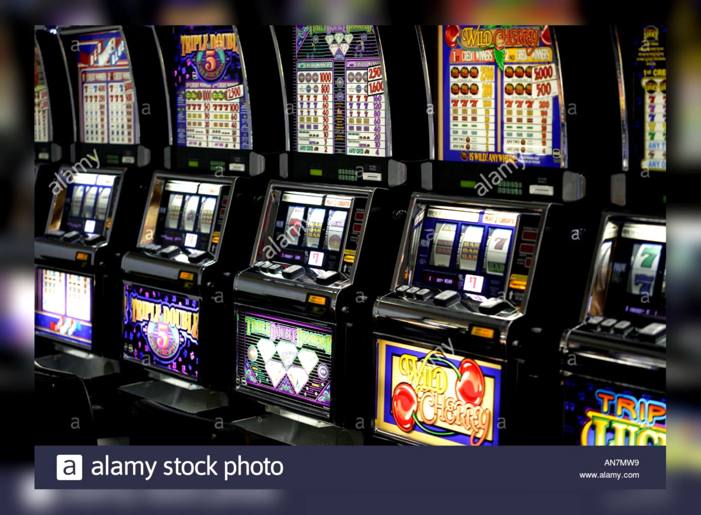 €444 Daily freeroll slot tournament at King Billy Casino