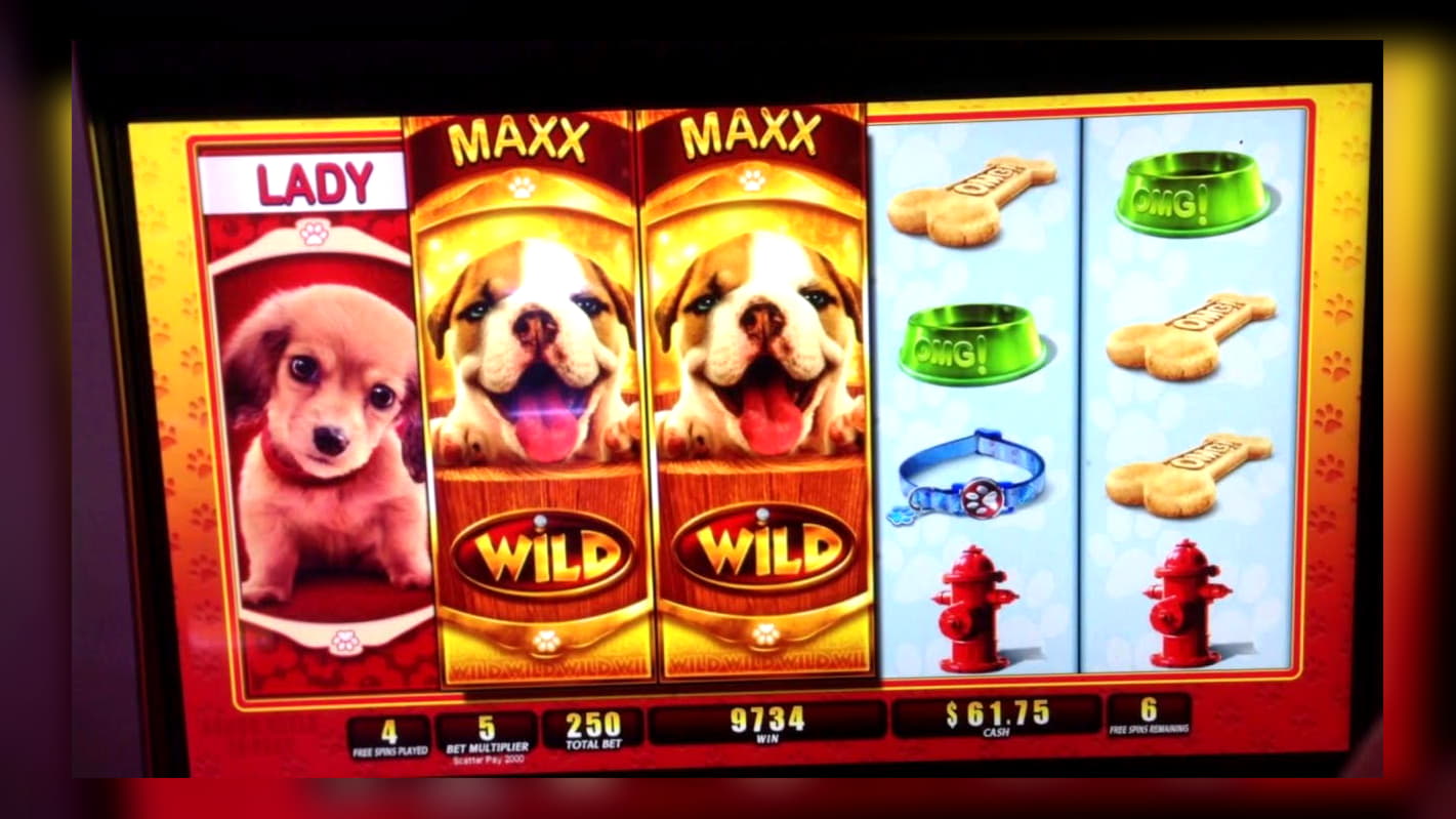 ﻿$4865 No deposit bonus casino at Jackpot City Casino