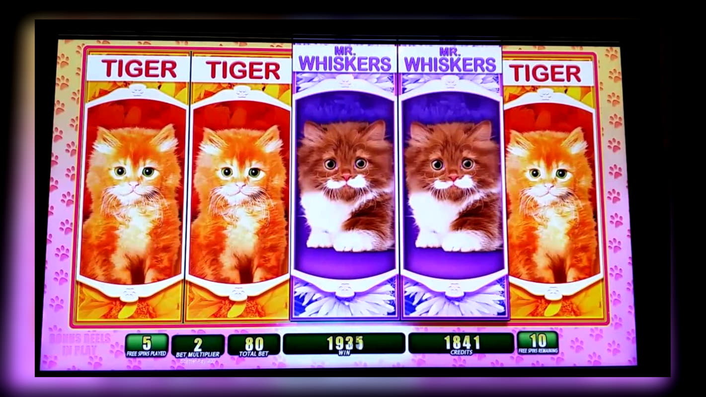 510% Best Signup Bonus Casino at King Billy Casino