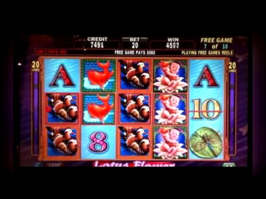 Eur 505 Online Casino Tournament at Fruity Casa Casino