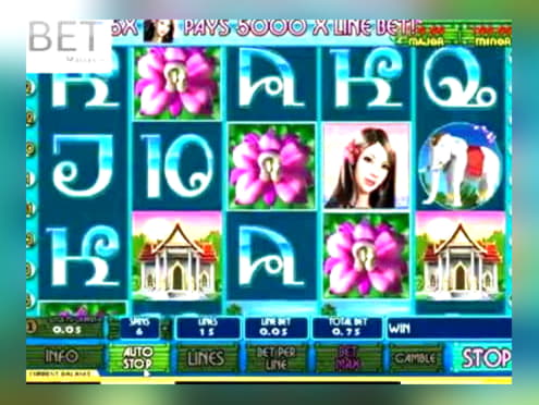 Eur 525 Daily freeroll slot tournament at Wink Slots Casino