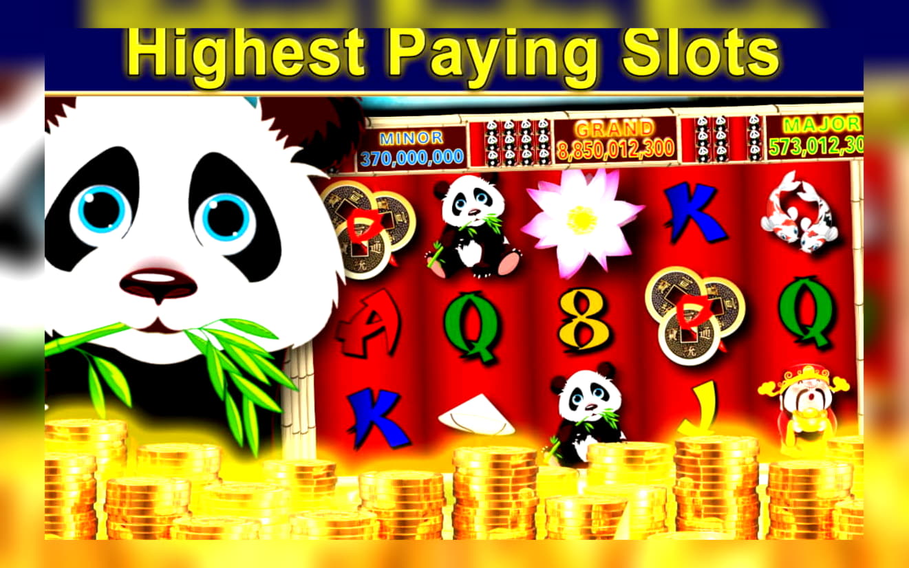 $40 Daily freeroll slot tournament at Ikibu Casino