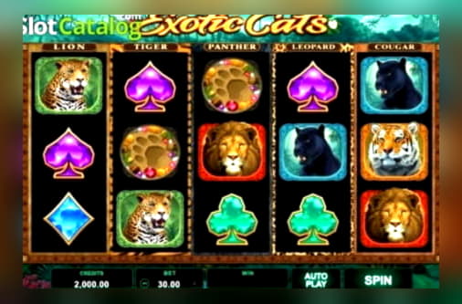 Eur 1190 no deposit at Spinland Casino