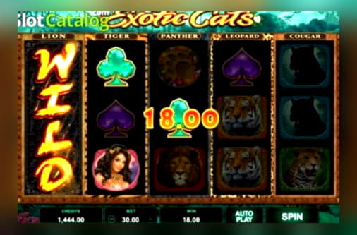 775% Match at a Casino at Come On Casino