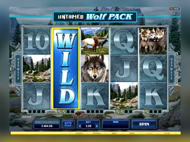 £66 Daily freeroll slot tournament at Rizk Casino