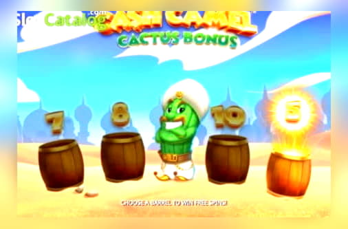 970% Welcome Bonus at Wink Slots Casino