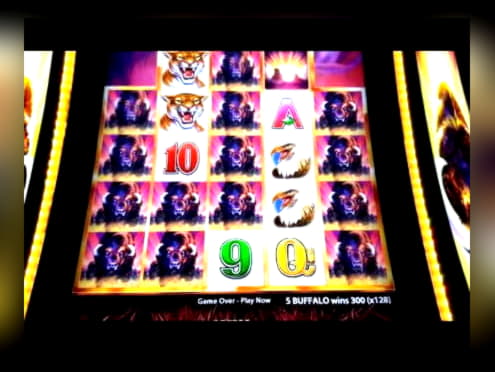 EURO 1690 NO DEPOSIT BONUS at bWin Casino
