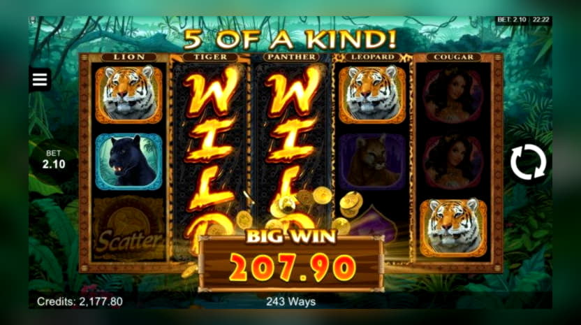 $4290 No deposit bonus casino at Rizk Casino