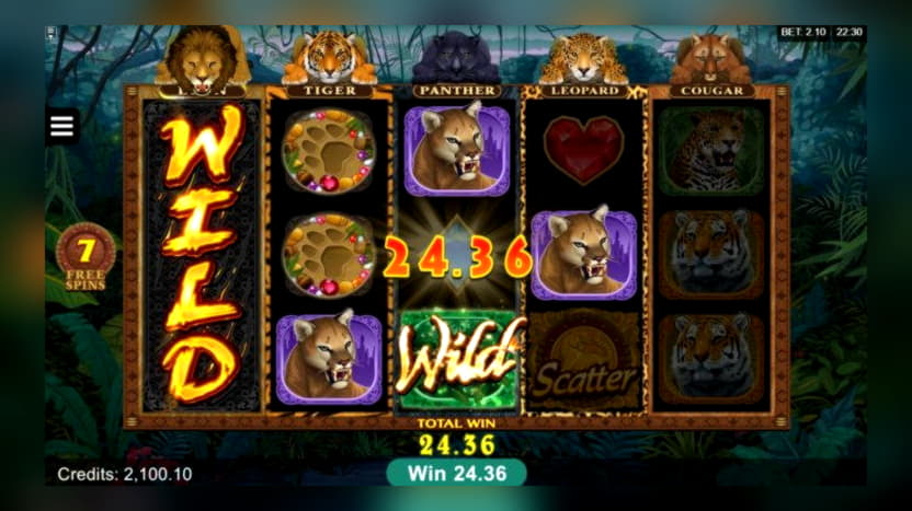 EURO 415 Free Money at Spin Palace Casino
