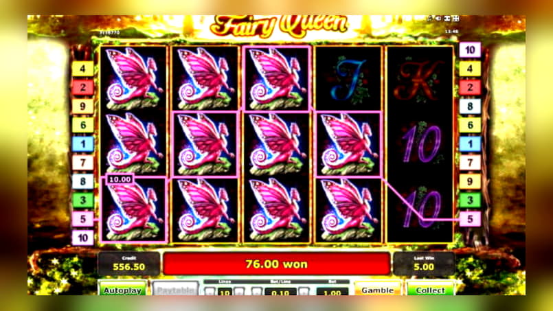 $845 Tournament at BGO Casino